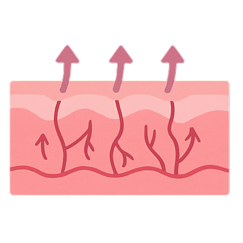 Boost de la circulation